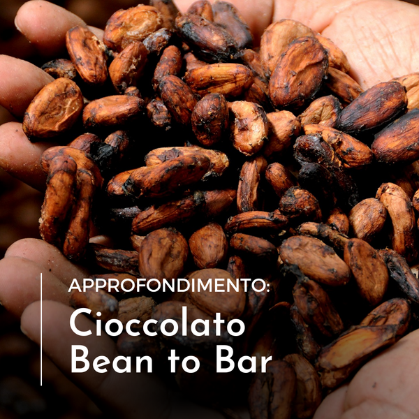 🍫 Cioccolato "Bean to Bar": il Cioccolato Artigianale - Dalla pianta al tuo palato 🤤